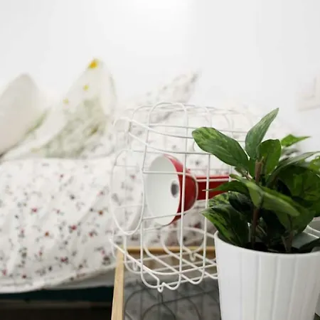 Estudio En El Centro De Puerto De La Cruz 푸에르토 드 라 크루즈